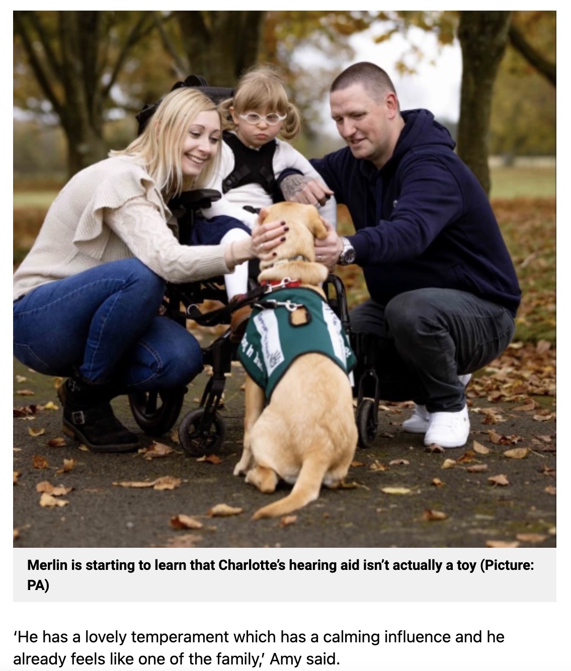 マーリンと散歩に出かける一家（画像は『Metro　2022年1月19日付「Couple’s ￡1,000,000 lottery win helped them buy support dog for disabled daughter」（Picture: PA）』のスクリーンショット）