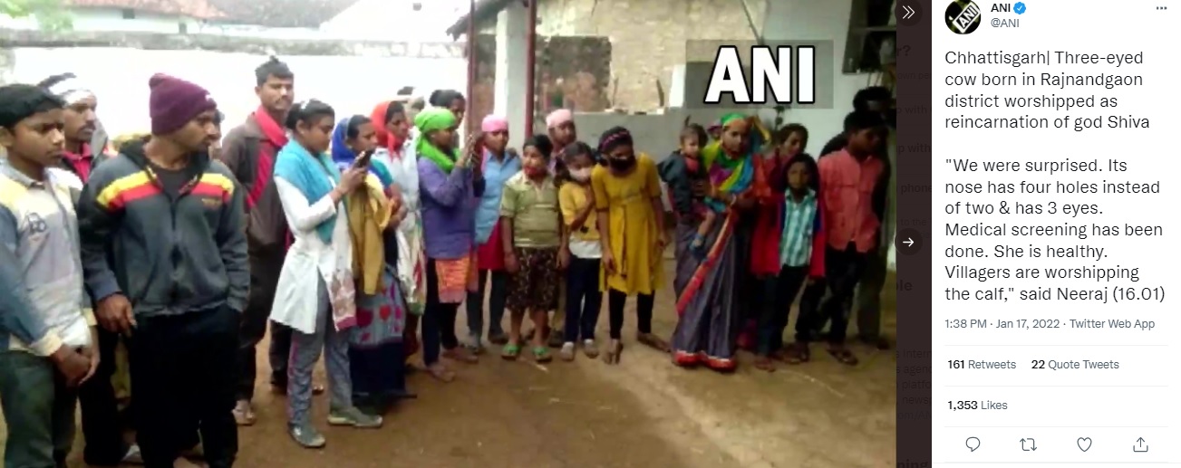 へマントさんの家の前に集まる人々（画像は『ANI　2022年1月17日付Twitter「Chhattisgarh｜ Three-eyed cow born in Rajnandgaon district」』のスクリーンショット）