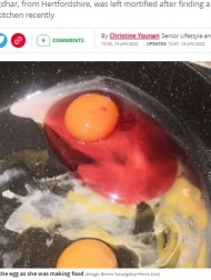 【海外発！Breaking News】スーパーで買った卵の白身が鮮やかなピンク色、「食べてもいいの？」と母驚愕（英）