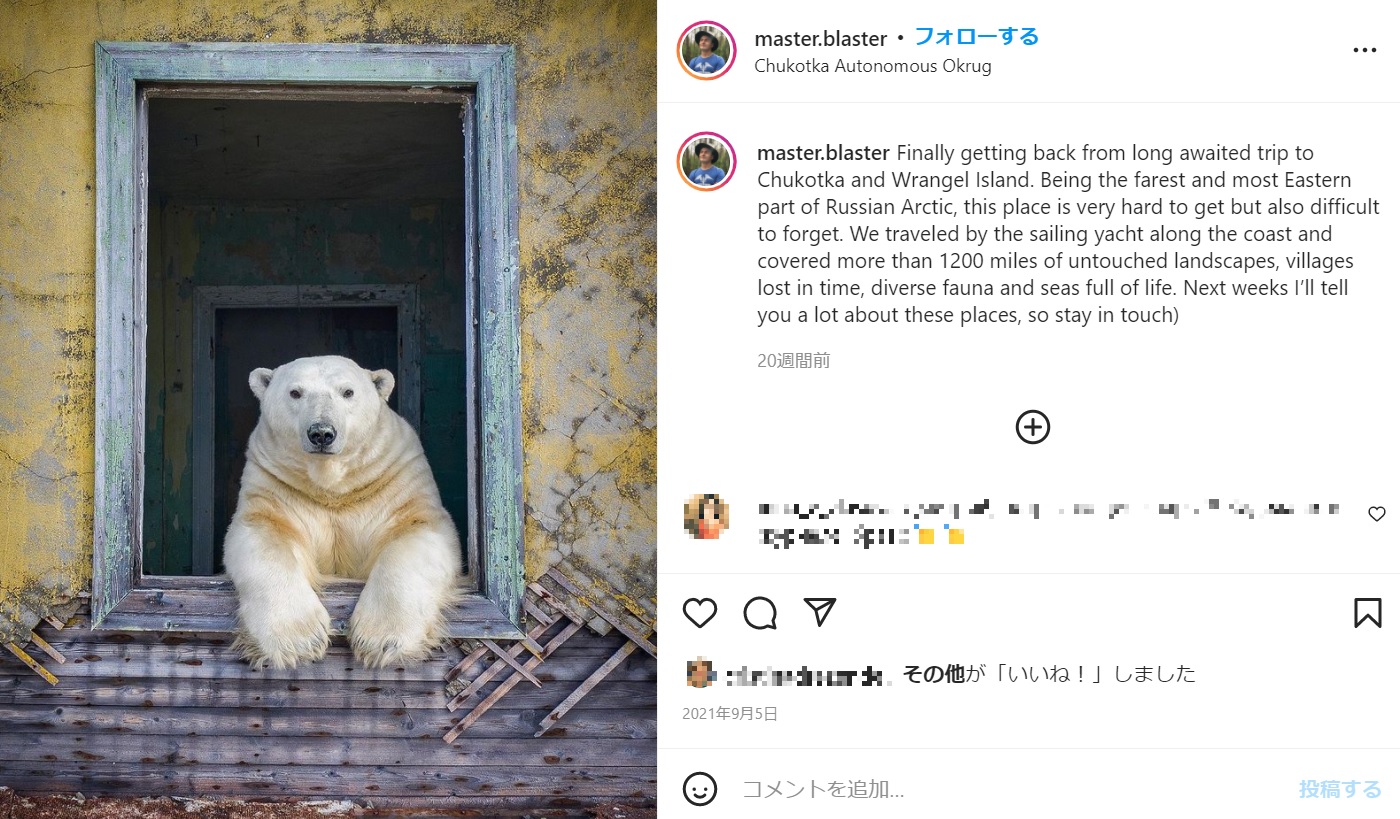 廃墟とシロクマという珍しい組み合わせが写真コンテストで入賞を果たす（画像は『Dmitry Kokh　2021年9月5日付Instagram「Finally getting back from long awaited trip to Chukotka and Wrangel Island.」』のスクリーンショット）
