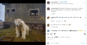 廃墟と化した気象観測所に棲みついたシロクマたち（画像は『Dmitry Kokh　2021年9月18日付Instagram「Polar bears are quite a curious guys.」』のスクリーンショット）