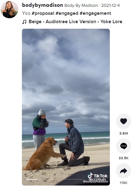 サプライズでプロポーズする男性と愛犬（画像は『Body By Madison　2021年12月4日付TikTok「Yes」』のスクリーンショット）