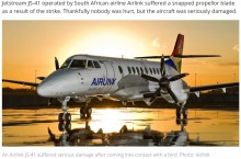 【海外発！Breaking News】飛行中の小型飛行機に“バードストライク”　プロペラの破片が機体を突き破る（南ア）