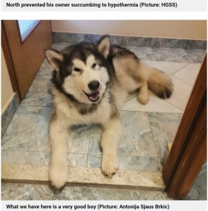 【海外発！Breaking News】雪山で滑落、骨折した男性のそばで13時間寄り添い続けた愛犬（クロアチア）