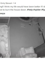 【海外発！Breaking News】眠っていた赤ちゃんに迫る8本脚の影　母親は「今すぐ家を燃やしたい！」（米）＜動画あり＞