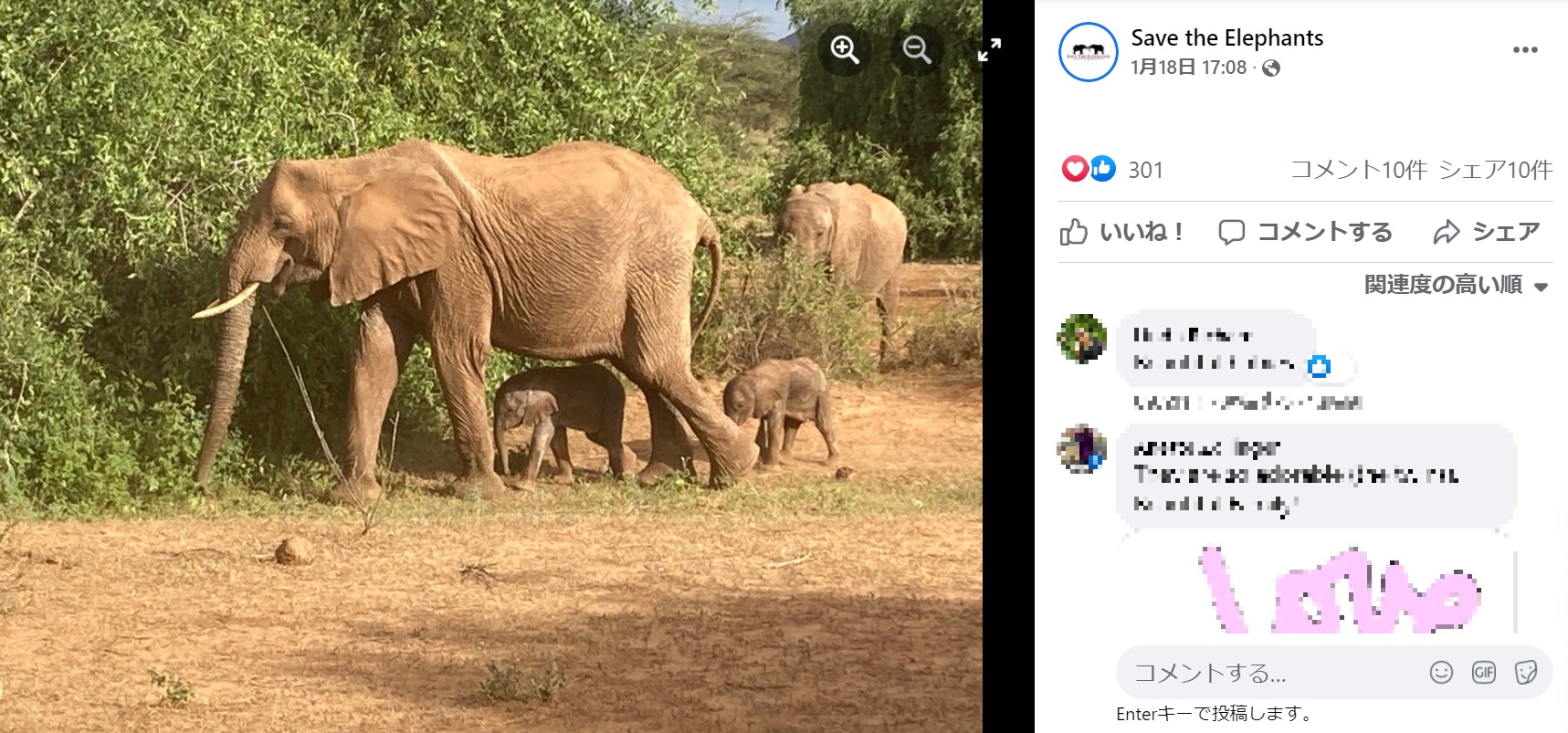 母ゾウの後ろをついて回る双子の子ゾウ（画像は『Save the Elephants　2022年1月18日付Facebook「Exciting news! Elephant TWINS have been born in Samburu National Reserve!」』のスクリーンショット）
