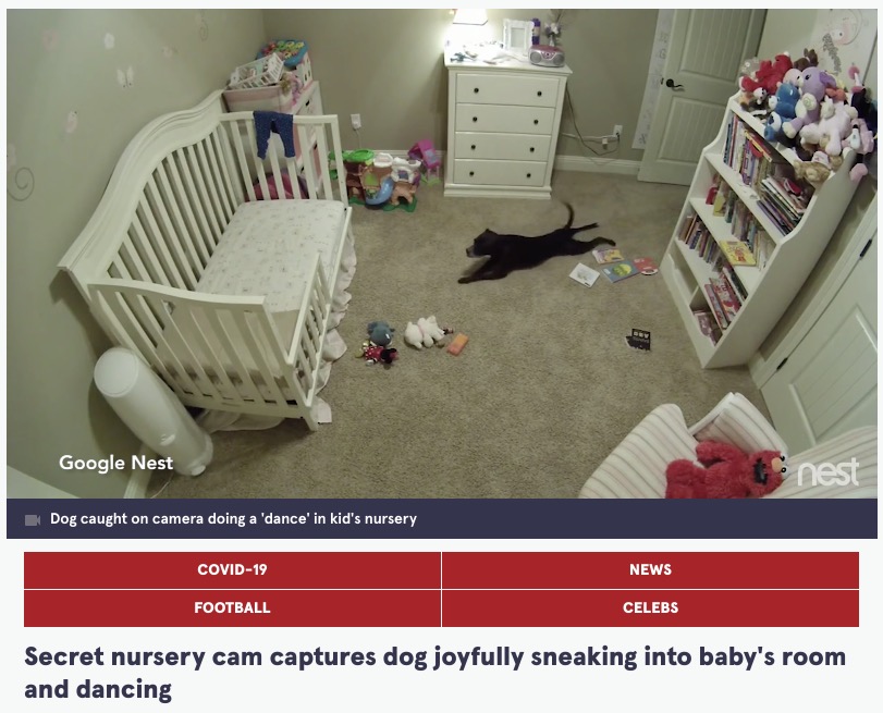 飼い主の留守中に赤ちゃんの部屋に忍び込む犬（画像は『The Mirror　2022年2月2日付「Secret nursery cam captures dog joyfully sneaking into baby’s room and dancing」（Image: ＠fearsupply / TikTok）』のスクリーンショット）