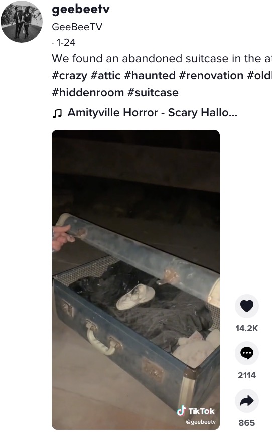 リフォーム中に屋根裏から見つかったスーツケース（画像は『GeeBeeTV　2022年1月24日付TikTok「We found an abandoned suitcase in the attic…」』のスクリーンショット）