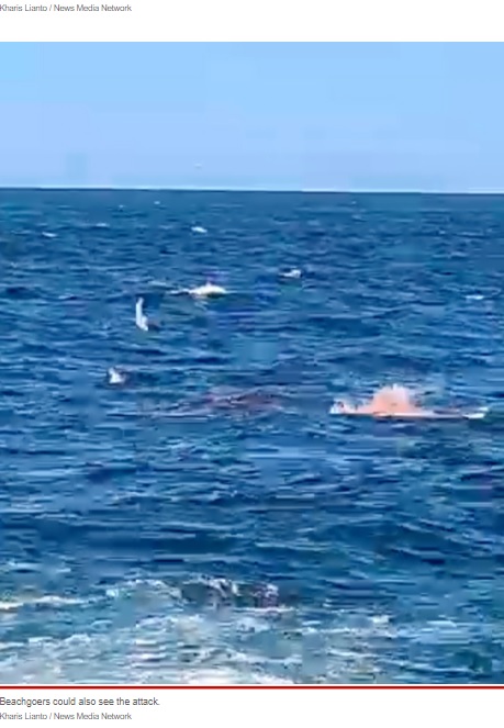 サメに襲われる男性（画像は『New York Post　2022年2月16日付「Swimmer killed by shark in horrifying attack in front of beachgoers: video」（Kharis Lianto / News Media Network）』のスクリーンショット）