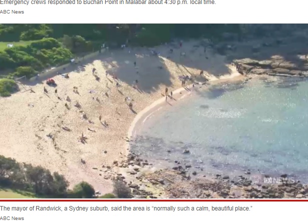 普段は地元の家族連れで賑わう美しいビーチ（画像は『New York Post　2022年2月16日付「Swimmer killed by shark in horrifying attack in front of beachgoers: video」（ABC News）』のスクリーンショット）