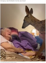 【海外発！Breaking News】病床に伏す母親が大好きな鹿と対面　娘によるサプライズが感動呼ぶ（豪）＜動画あり＞