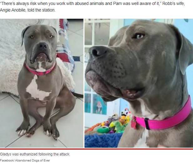 パムさんを襲ったグラディス（画像は『New York Post　2022年2月19日付「Dog mauls Florida animal rescue volunteer to death」（Facebook/ Abandoned Dogs of Ever）』のスクリーンショット）