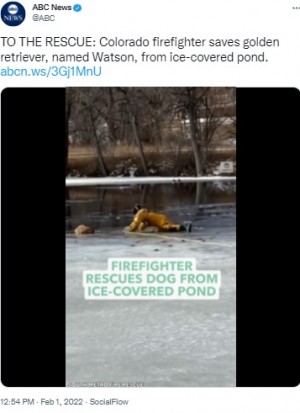 【海外発！Breaking News】凍った池に落ちた犬、救出はハラハラも勇敢な消防隊員に「よくやった！」（米）＜動画あり＞