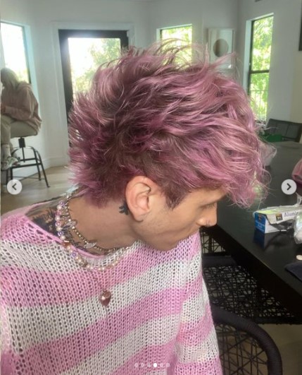 バブルガムピンクに染めたヘアを披露（画像は『the Blonde Don　2022年2月25日付Instagram「i’m pink da ba dee da ba di」』のスクリーンショット）