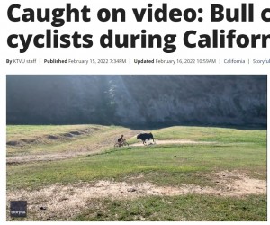 最初の選手は雄牛の攻撃を受けることなく無事通過（画像は『FOX 13 Tampa Bay　2022年2月16日付「Caught on video: Bull charges cyclists during California race」（Credit: ELEVENGEAR via Storyful）』のスクリーンショット）