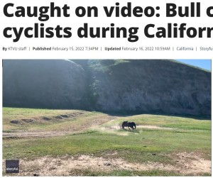 選手が落下しても執拗にタックルを仕掛ける雄牛（画像は『FOX 13 Tampa Bay　2022年2月16日付「Caught on video: Bull charges cyclists during California race」（Credit: ELEVENGEAR via Storyful）』のスクリーンショット）