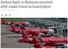 【海外発！Breaking News】機内にヘビ、機長が緊急着陸へ　過去にはサソリが現れた事例も（マレーシア）