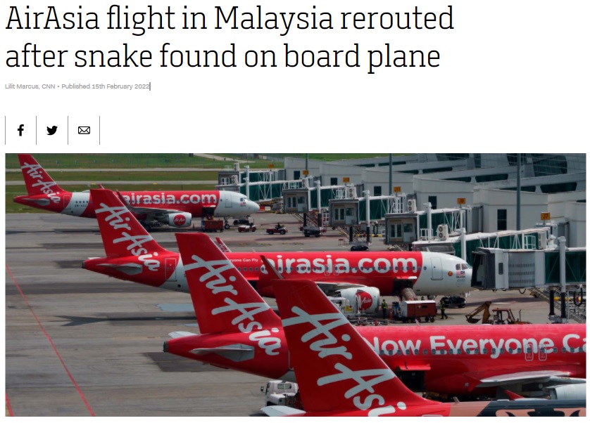 機長の判断で緊急着陸することに（画像は『CNN International　2022年2月15日付「AirAsia flight in Malaysia rerouted after snake found on board plane」』のスクリーンショット）
