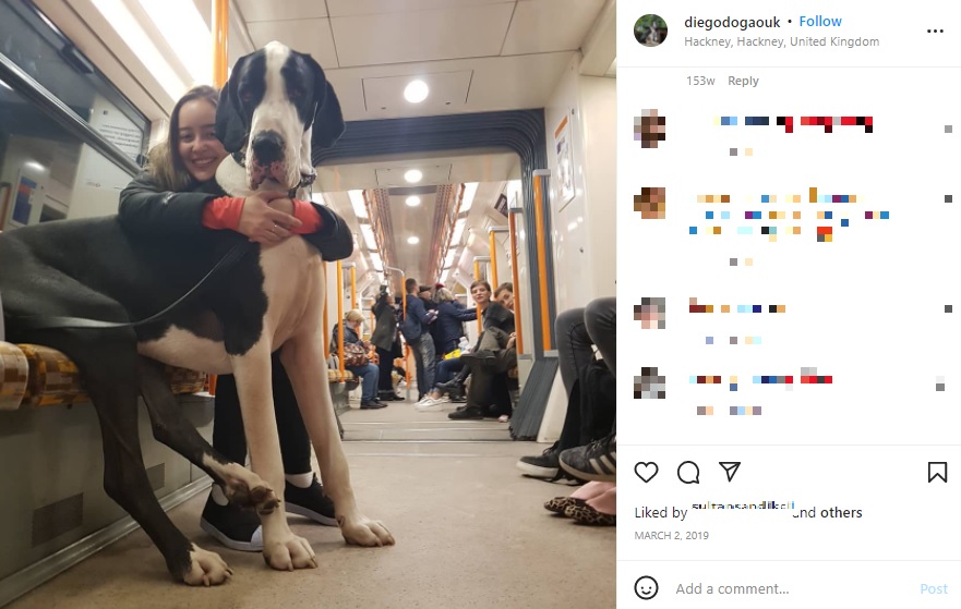 電車の中で写真撮影するディエゴ（画像は『Carlos Pezao　2019年3月2日付Instagram「I am on my way home」』のスクリーンショット）
