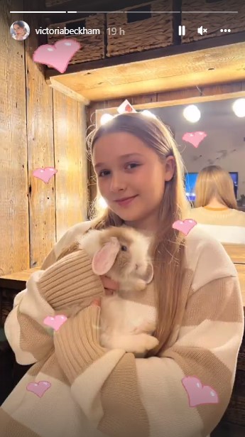 すっかりウサギが気に入った様子のハーパーちゃん（画像は『Victoria Beckham　2022年2月12日付Instagram』のスクリーンショット）