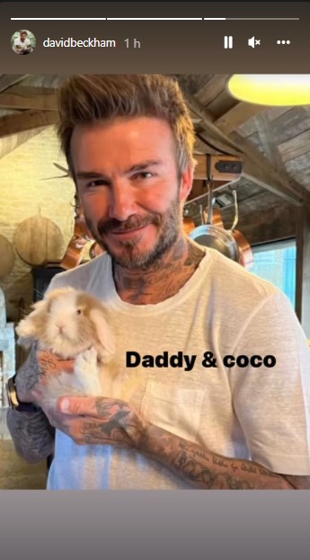 新たな家族を“ココ”と紹介したデヴィッド（画像は『David Beckham　2022年2月13日付Instagram』のスクリーンショット）