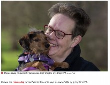 【海外発！Breaking News】心臓発作を起こした飼い主を救った犬　胸の上で飛び跳ねて心肺蘇生を行う（英）　