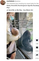 【海外発！Breaking News】飼育員に赤ちゃんを紹介されたゴリラの反応が温かい　ガラス越しにキスも（米）＜動画あり＞
