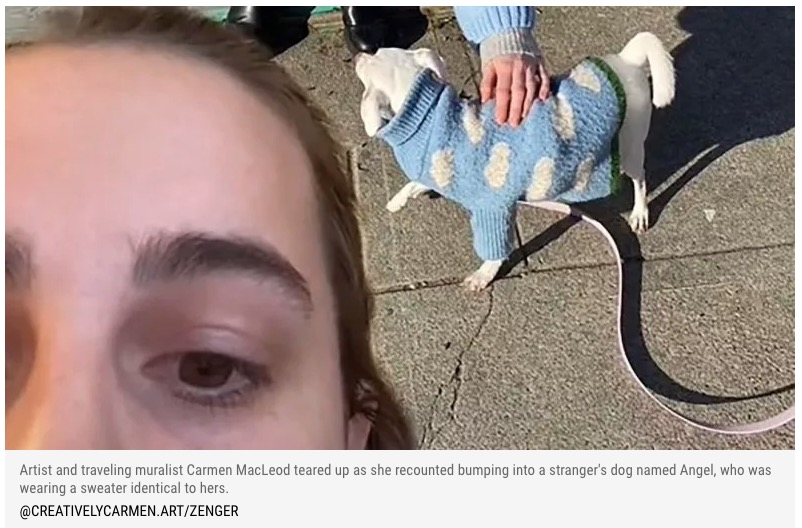 同じセーターを着た犬と出会い、驚きを語る女性（画像は『Newsweek　2022年3月23日付「VIDEO: Woman Moved to Tears After Encountering Dog Wearing the Same Sweater as Her」（＠CREATIVELYCARMEN.ART/ZENGER）』のスクリーンショット）