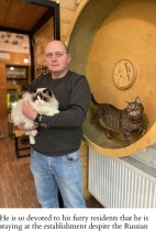 【海外発！Breaking News】今も営業を続けるウクライナの猫カフェオーナー「この子たちは家族」「国を離れることはない」＜動画あり＞