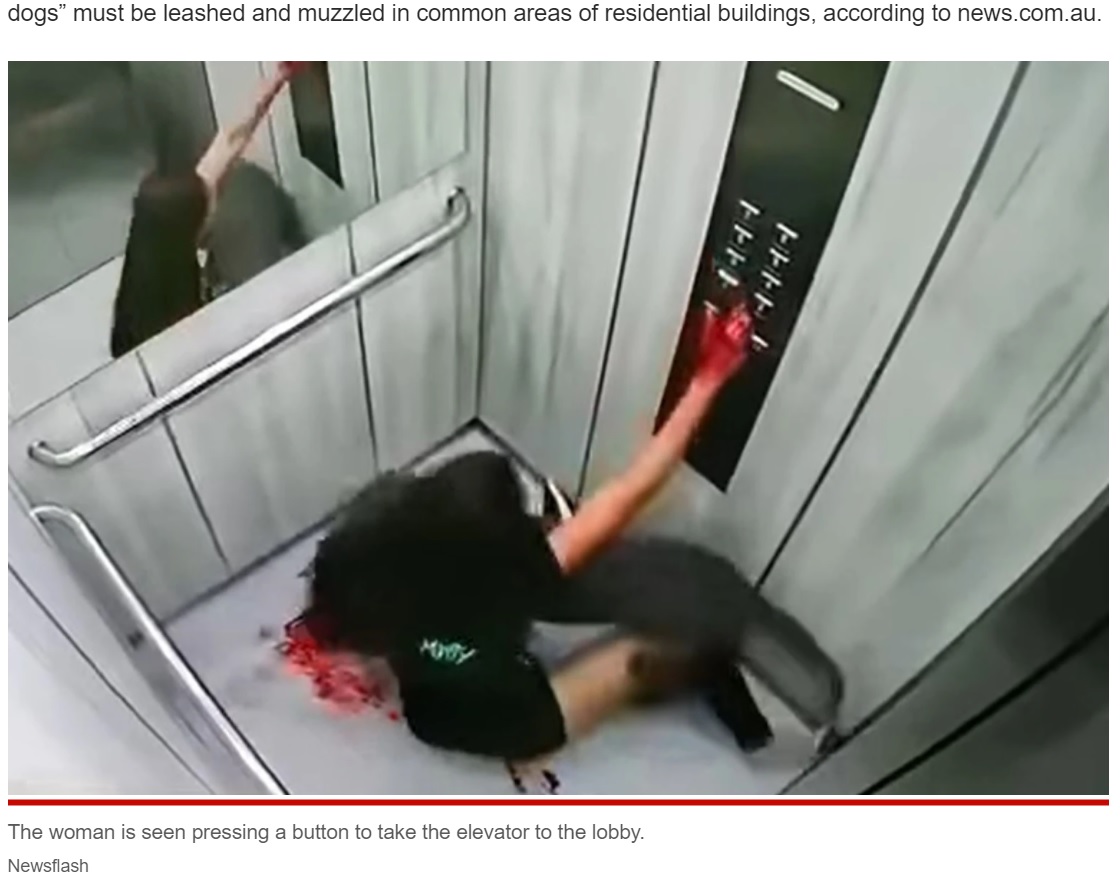 血で真っ赤に染まった手でエレベーターのボタンを押す女性（画像は『New York Post　2022年3月24日付「Gruesome video captures woman viciously mauled by pit bull in elevator」（Newsflash）』のスクリーンショット）