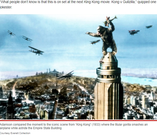 まるで映画『キング・コング』のワンシーン？（画像は『New York Post　2022年3月9日付「‘King Kong’ monkey batters seagull to death, eats it in wild video」（Courtesy Everett Collection）』のスクリーンショット）