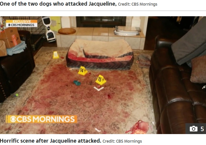 血だらけの居間（画像は『The Sun　2022年3月17日付「HOUND HORROR Dogsitter Jacqueline Durand, 22, left with ‘skin hanging from face’ after being bitten 800 TIMES in vicious dog attack」（Credit: CBS Mornings）』のスクリーンショット）