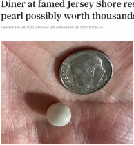 【海外発！Breaking News】ハマグリの中から真珠を発見したレストラン客、1万個に1個の確率に大興奮（米）