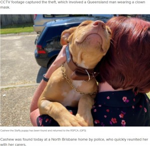 【海外発！Breaking News】“ピエロの覆面男”が動物保護施設に侵入　盗まれた子犬は無事保護（豪）＜動画あり＞