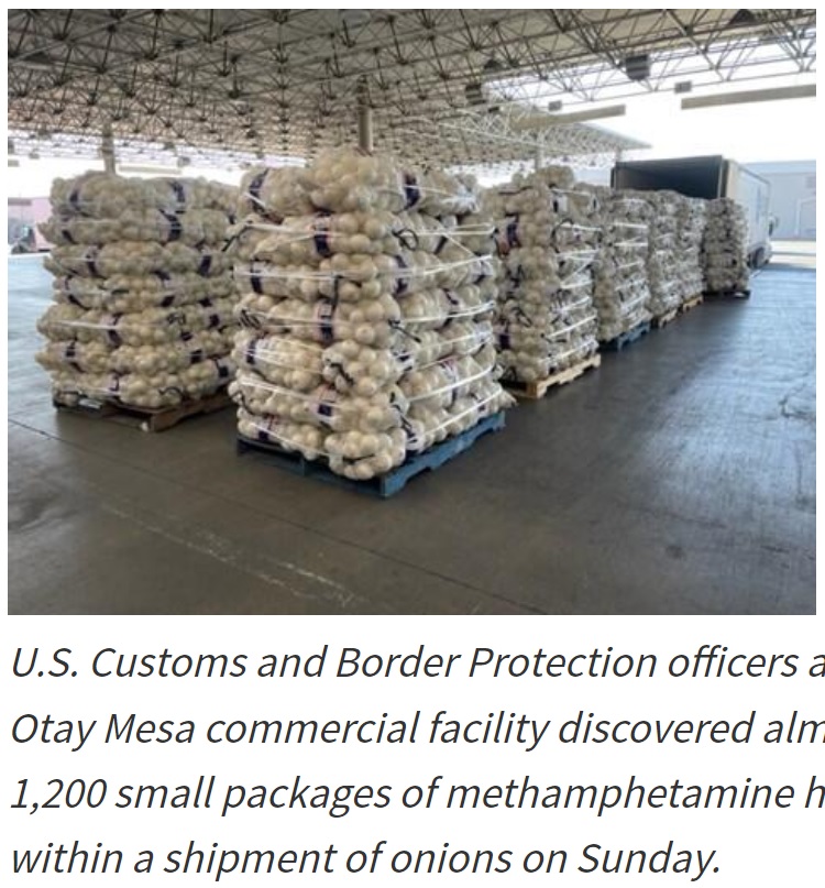 玉ねぎに見せかけた大量の覚醒剤が押収（画像は『U.S. Customs and Border Protection　2022年2月25日付「CBP Officers Seize Meth Disguised as Onions」』のスクリーンショット）