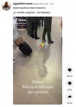 【海外発！Breaking News】仕事熱心な小さなチワワが話題に　麻薬探知犬として空港で活躍（コロンビア）＜動画あり＞