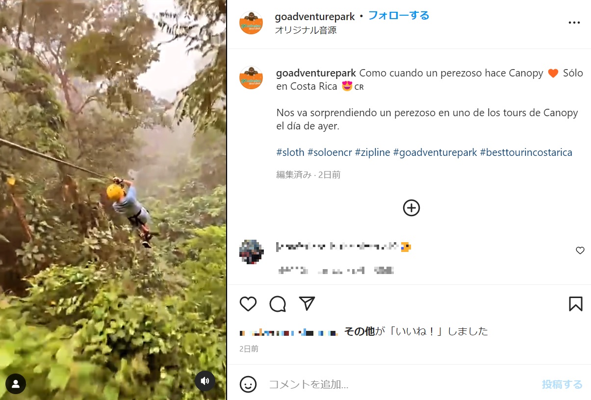 広大な森の中を疾走するジップライン（画像は『GO ADVENTURE PARK　2022年3月15日付Instagram「Como cuando un perezoso hace Canopy」』のスクリーンショット）