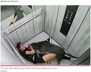 【海外発！Breaking News】突然豹変した犬に襲われた女性　助けを求め血だらけでエレベーターに乗る姿に衝撃（コロンビア）【閲覧注意】