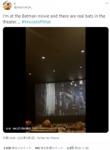 【海外発！Breaking News】バットマン上映中に映画館に本物のコウモリが迷い込む　観客ら「4D映画かな？」（米）＜動画あり＞
