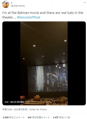 【海外発！Breaking News】バットマン上映中に映画館に本物のコウモリが迷い込む　観客ら「4D映画かな？」（米）