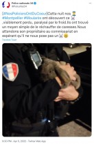 【海外発！Breaking News】フランス国家警察、迷子のウサギの情報提供を呼びかける