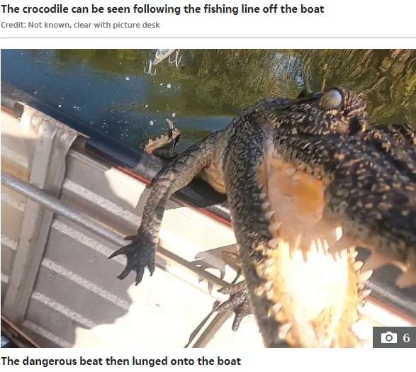 ボートに近づきカメラに頭突きしたワニ（画像は『The Sun　2022年4月27日付「CROC SHOCK Heartstopping moment a huge crocodile jumps into couple’s boat after chasing their fishing line」（Credit: Not known, clear with picture desk）』のスクリーンショット）