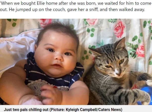 赤ちゃんのそばを離れない猫（画像は『The Metro　2022年3月25日付「Woman’s rescue cat is best friends with her baby: ‘He wants to be around her all the time’」（Picture: Kyleigh Campbell/Caters News）』のスクリーンショット）