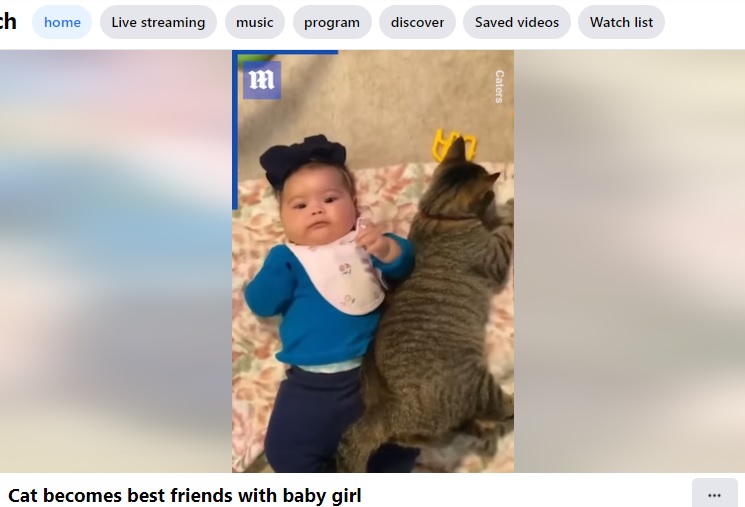 ピタリと体をくっつけるフーディニ（画像は『The Daily Mail　2022年3月28日付Facebook「Cat becomes best friends with baby girl」』のスクリーンショット）