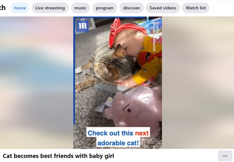 エリーちゃんの顔の下に入り込むフーディニ（画像は『The Daily Mail　2022年3月28日付Facebook「Cat becomes best friends with baby girl」』のスクリーンショット）