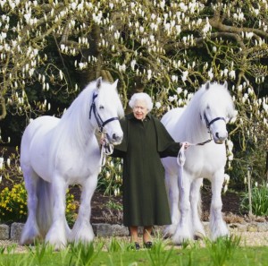 所有する2頭のポニーと並ぶエリザベス女王（画像は『The Royal Family　2022年4月20日付Instagram「Ahead of The Queen’s 96th Birthday tomorrow」』のスクリーンショット）