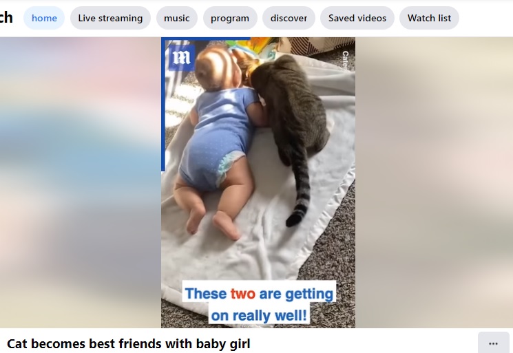エリーちゃんが大好きなフーディニ（画像は『The Daily Mail　2022年3月28日付Facebook「Cat becomes best friends with baby girl」』のスクリーンショット）
