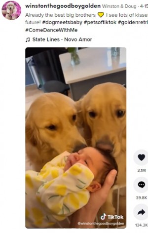 【海外発！Breaking News】たくさんのキスにおもちゃまで！　赤ちゃんと初対面した2頭の犬の反応にほっこり（米）＜動画あり＞