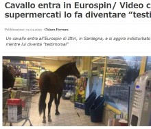 【海外発！Breaking News】スーパーに突如馬が出現　悠然と店内を闊歩しレジを通過する（伊）＜動画あり＞