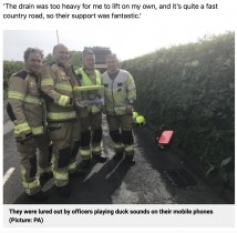 【海外発！Breaking News】排水溝に落ちたカモの赤ちゃん、消防隊員の協力により2時間後に救出される（英）